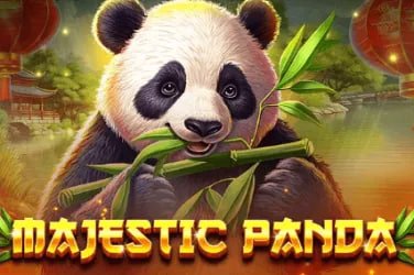 Piala Asia tournament bracket displayed on pedetogel slot mobile app